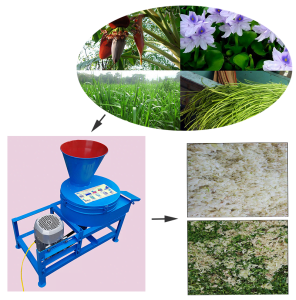 may bam chuoi da nang