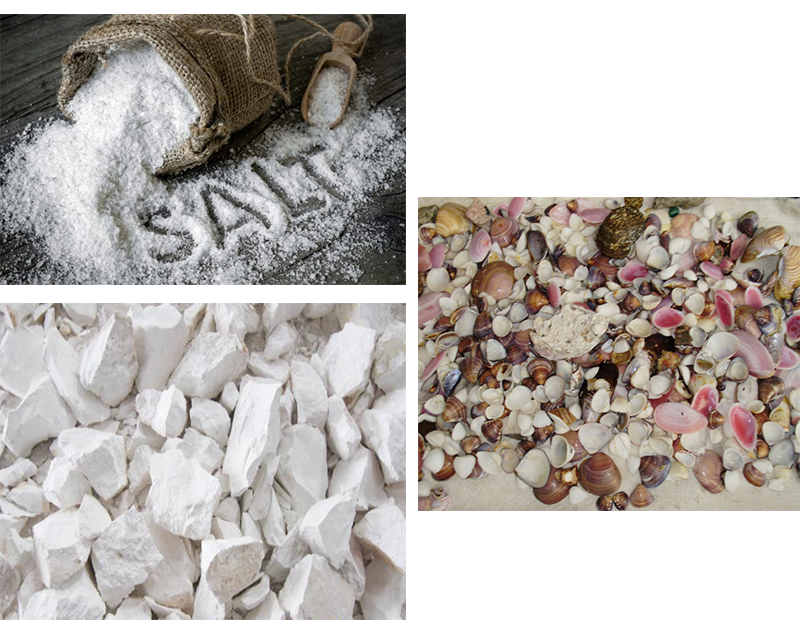 Thức ăn chứa khoáng chất