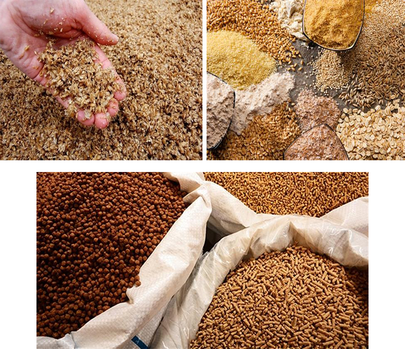 Cám viên cho lợn thịt