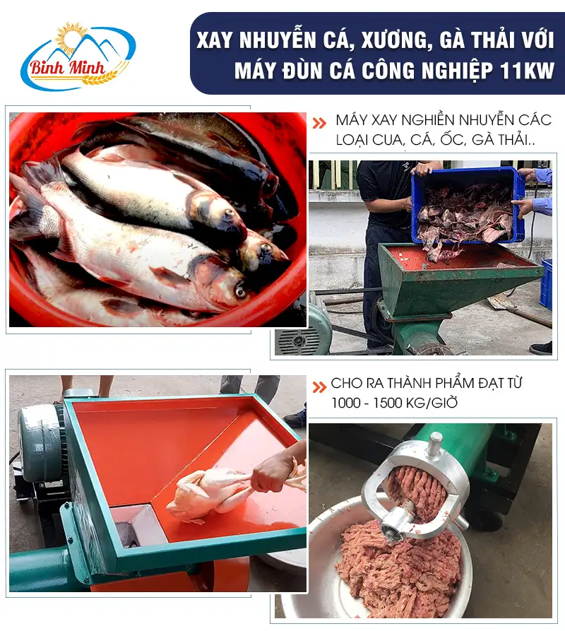 may-xay-xuong_result222