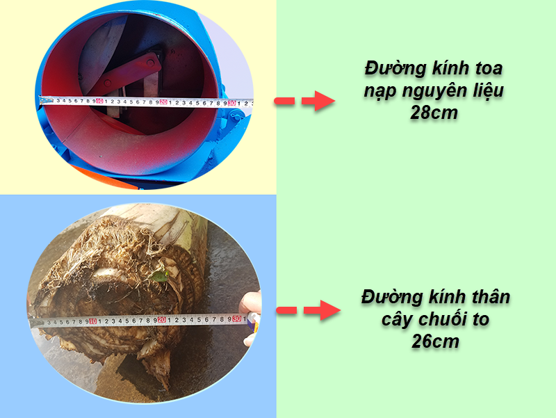 Máy thái chuối: Thiết bị chế biến thức ăn chăn nuôi hữu ích cho bà con