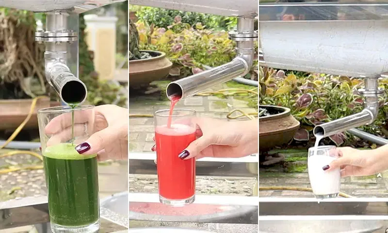 ep-nuoc-cot-dua_result222_result