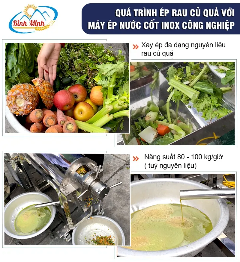huong-dan-ep-nuoc-trai-cay_result