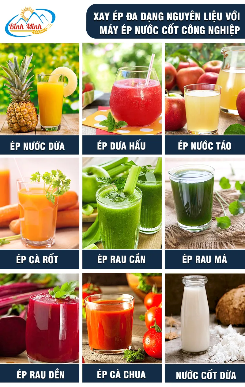 may-ep-trai-cay-cong-nghiep-1-pha_result