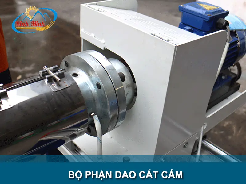 dao-cat-cam_result222