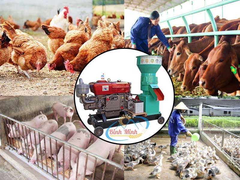 Máy ép cám viên s270