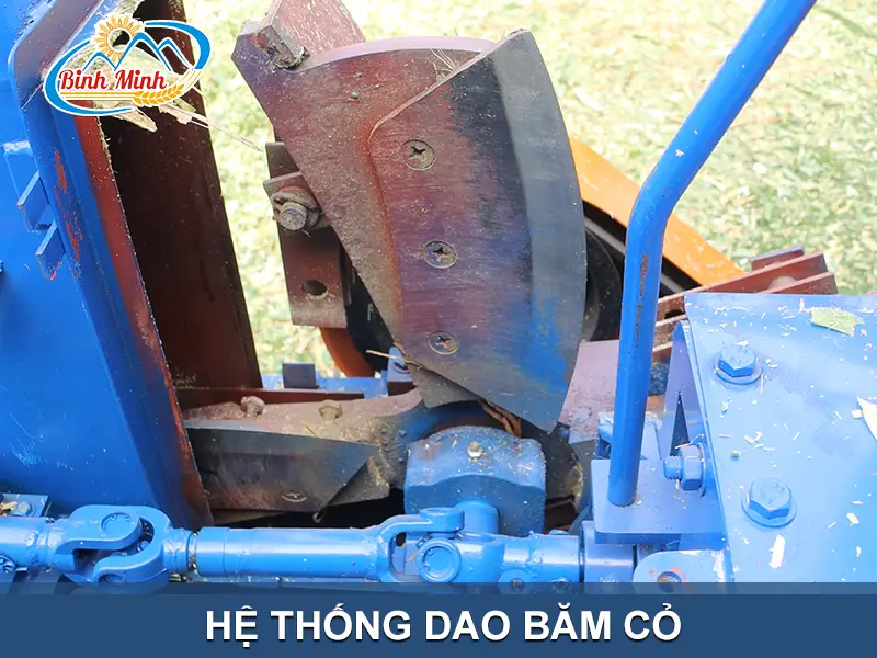 dao-bam-co-cho-bo_result222