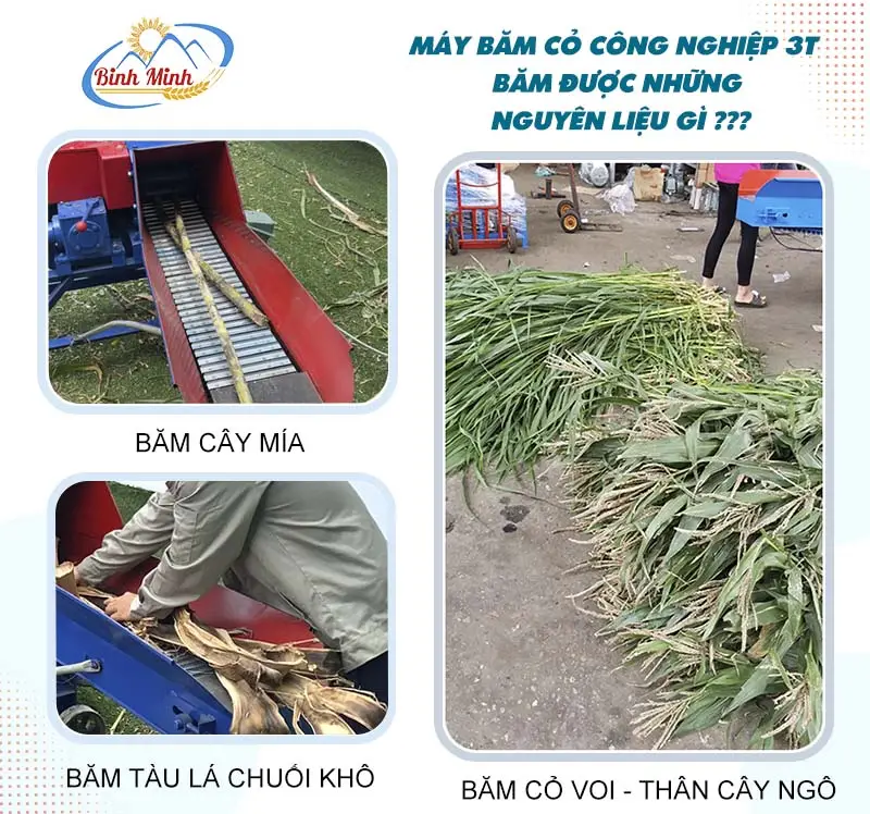 may-bam-cay-mia_result222