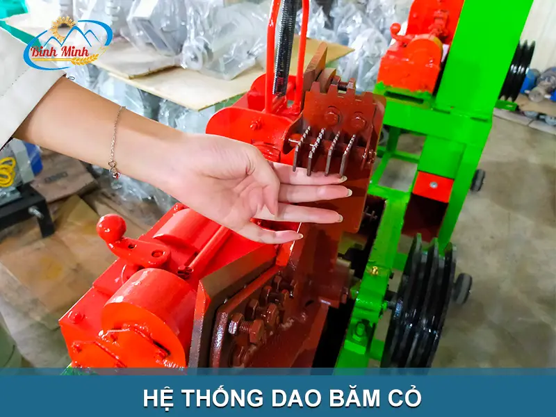 dao-bam-co_result222