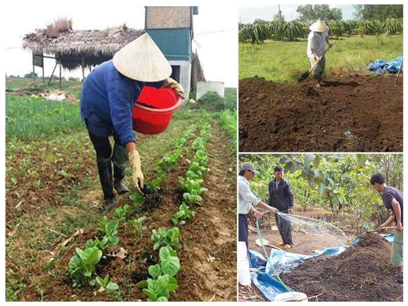 ky-thuat-su-dung-phan-bon