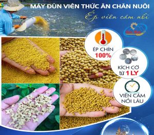may-ep-cam-vien-noi-Binh-Minh