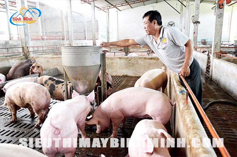 nguyen-tac-an-toan-sinh-hoc