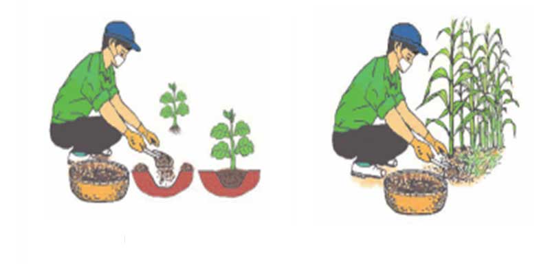 phan-huu-co-bon-phan-lot-hay-phan-thuc