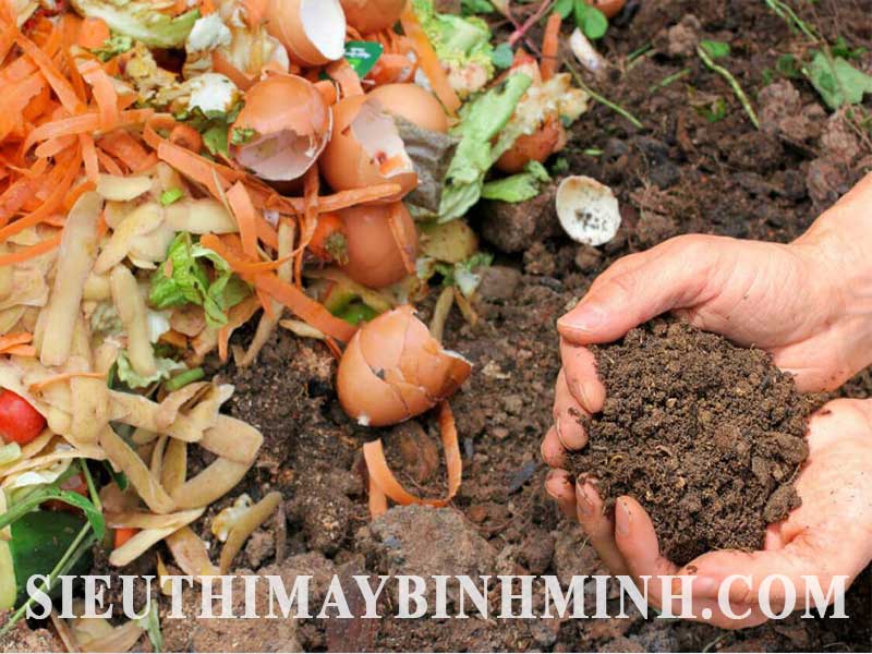 phan-huu-co-co-dac-diem-gi