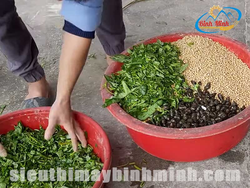 thuc-an-lam-cam-vien