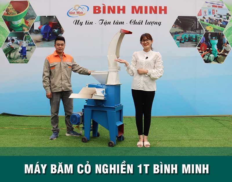 may-bam-co-nghien-1T-bm