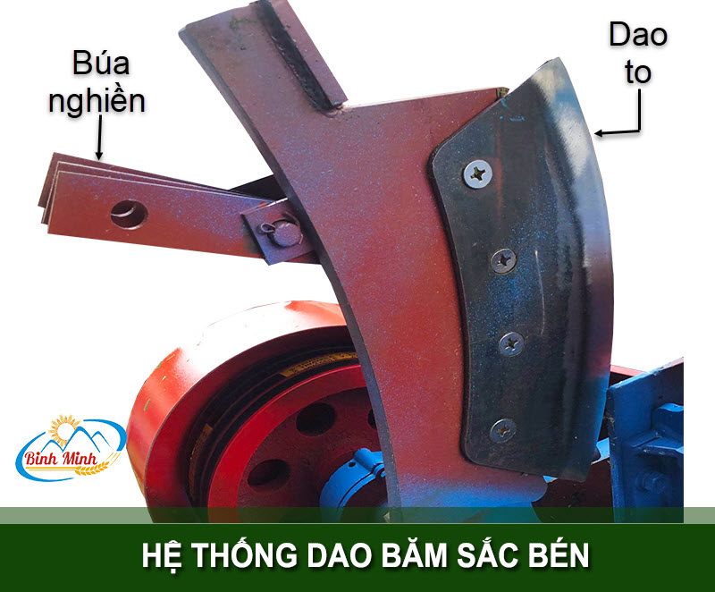 dao-bam-co