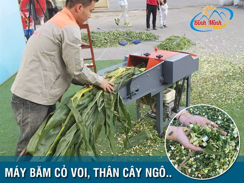 may-bam-co-voi-dung-dau-no