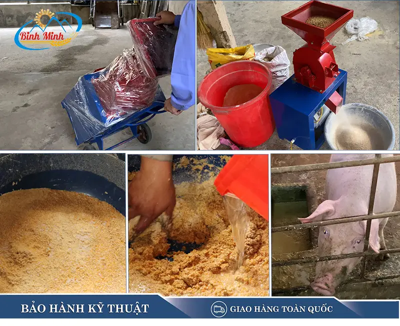 may-nghien-thuc-an-chan-nuoi-gia-dinh_result222