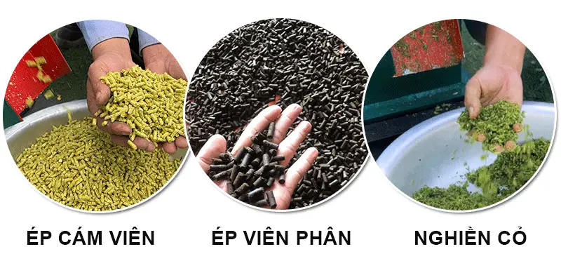 chuc-nang-may-ep-vien_result222
