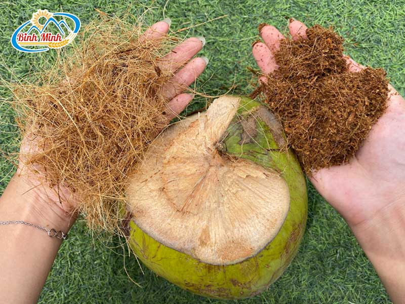 may-bam-nghien-xo-dua