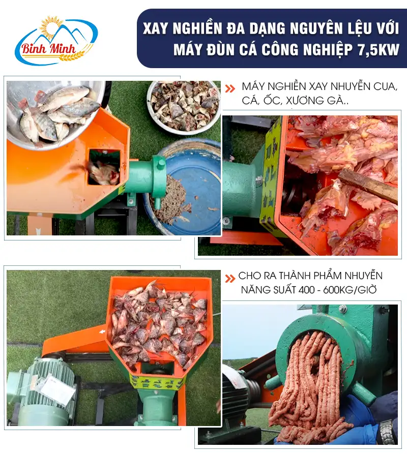 may-xay-xuong-3-pha_result222