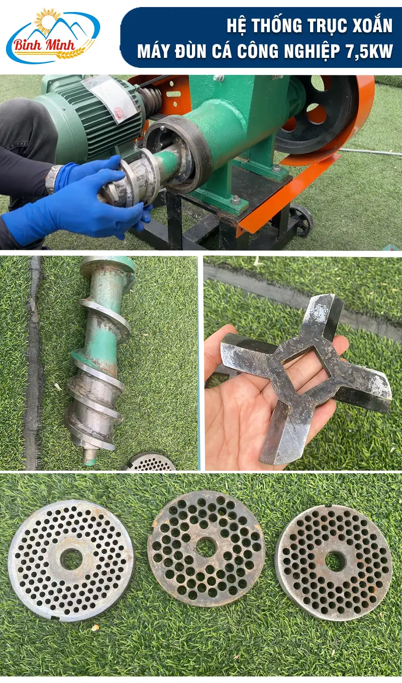 truc-xoan-may-dun-ca_result222