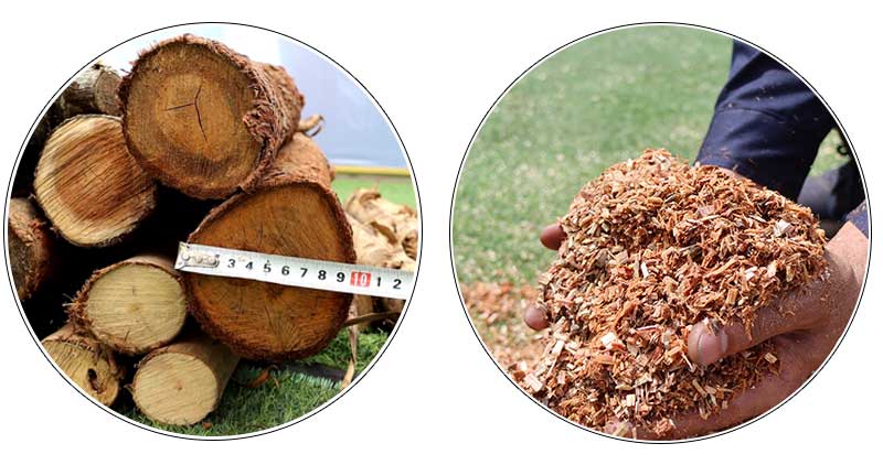 bam-go-thang-dam-mun