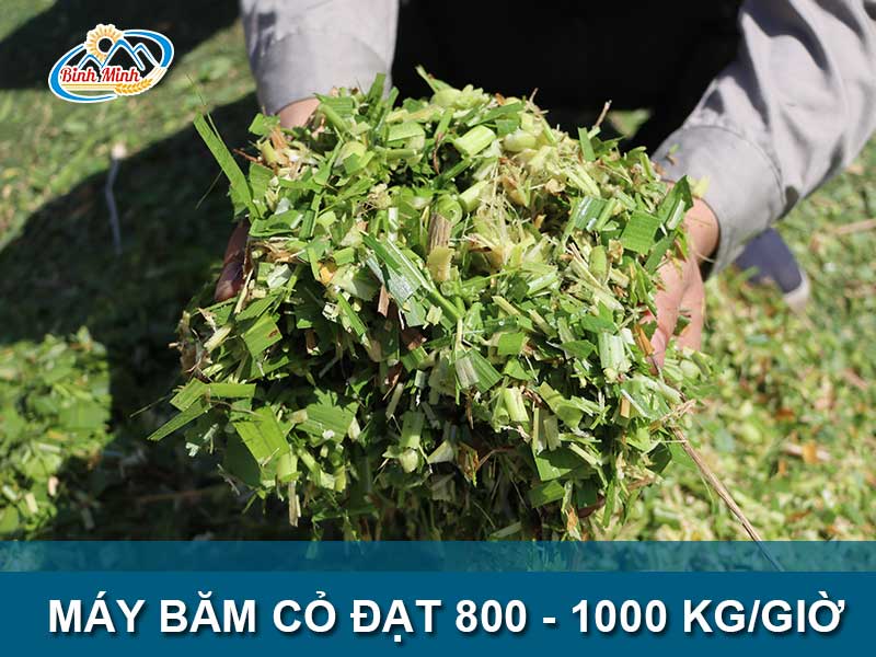 may-bam-co-cong-suat-lon