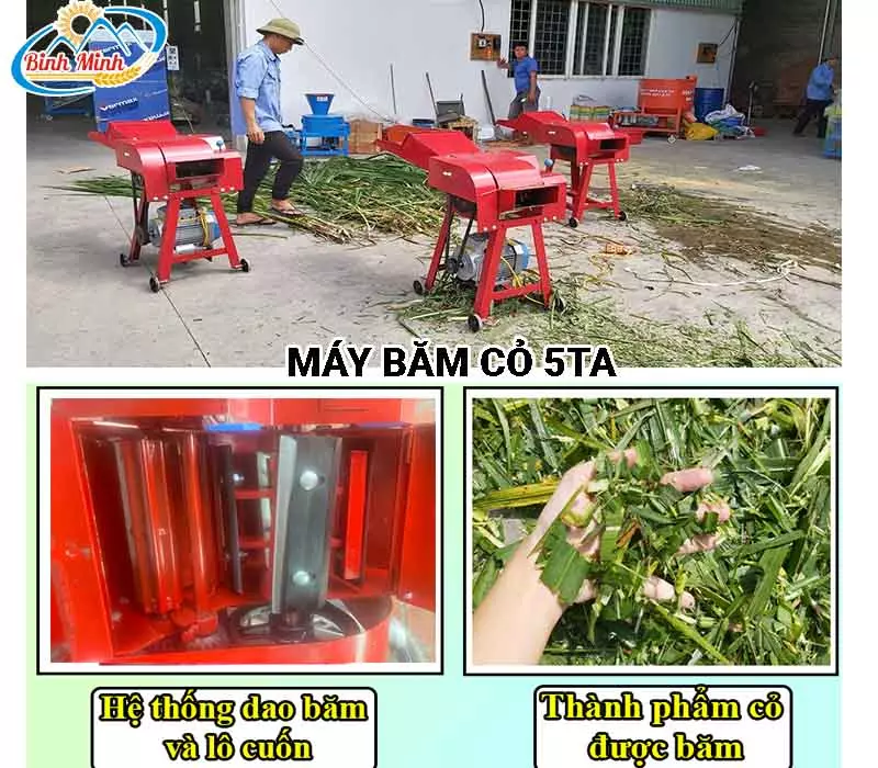máy băm cỏ 5TA