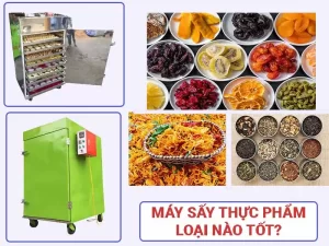 máy sấy THỰC PHẨM