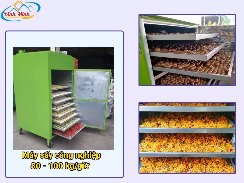 máy sấy thực phẩm