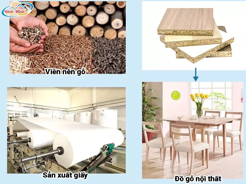 ứng dụng dăm gỗ