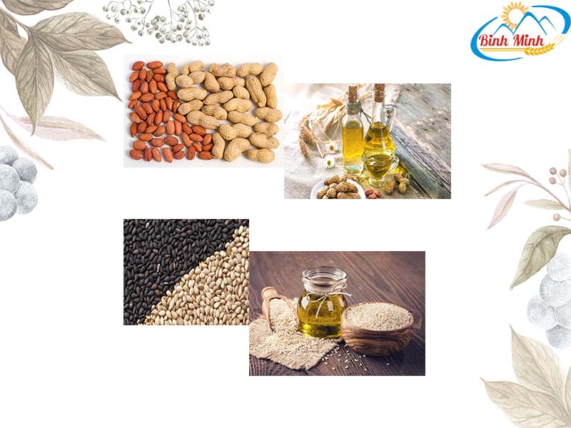 Ép đa dạng các loại nguyên liệu