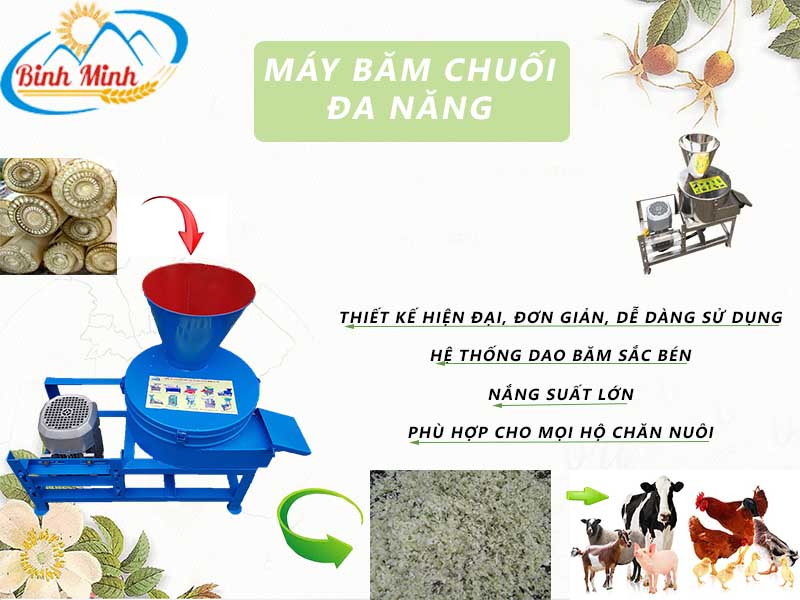 Tính chuyên dụng của máy băm chuối đa năng