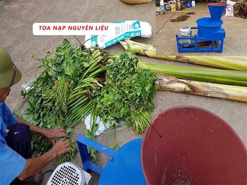 Toa nạp nguyên liệu