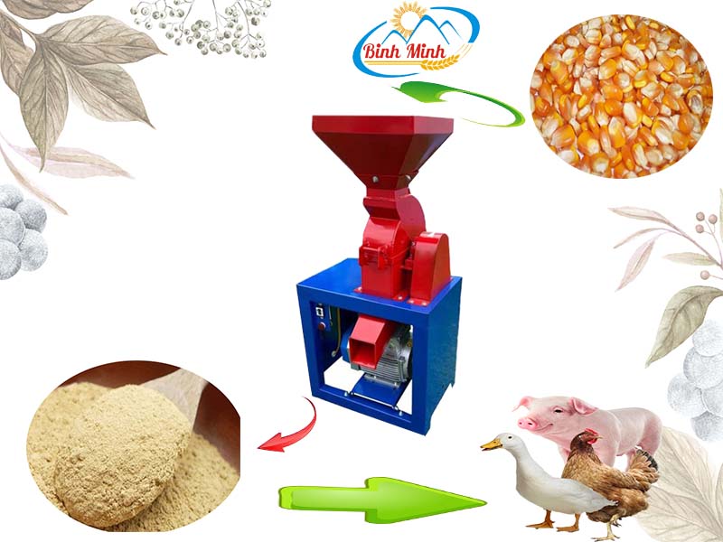 chế biến thức ăn chăn nuôi từ ngô