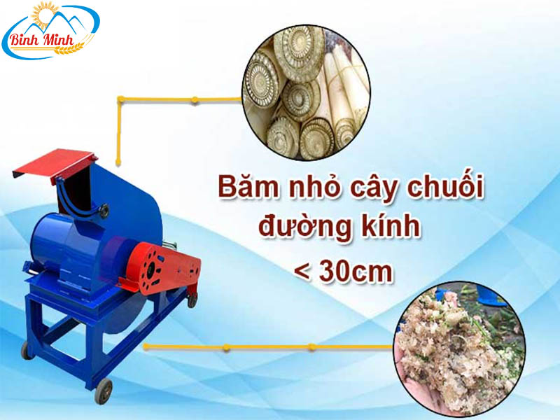 máy băm chuối công nghiệp phiên bản mới nhất 2022