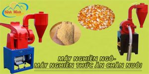 máy nghiền ngô- máy nghiền thức ăn chăn nuôi