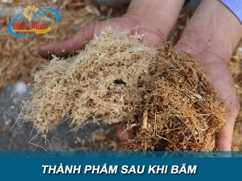 thanh-pham-sau-khi-bam_result222