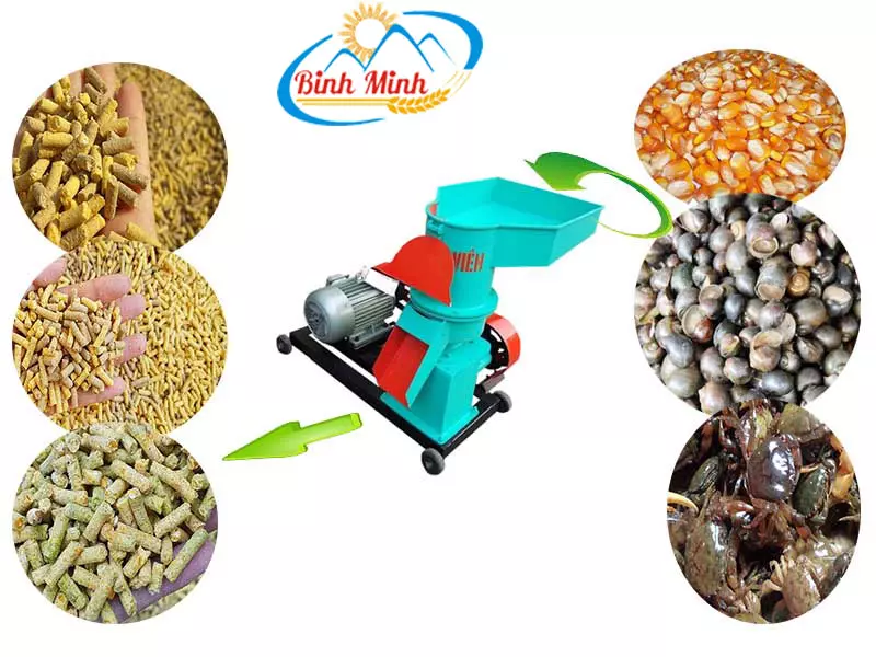 Máy ép cám viên S250 1