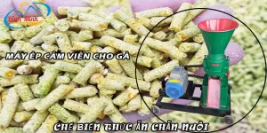 Máy ép cám viên cho gà