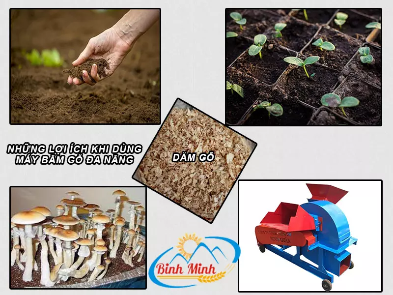 Những lợi ích khi dùng máy băm gỗ đa năng