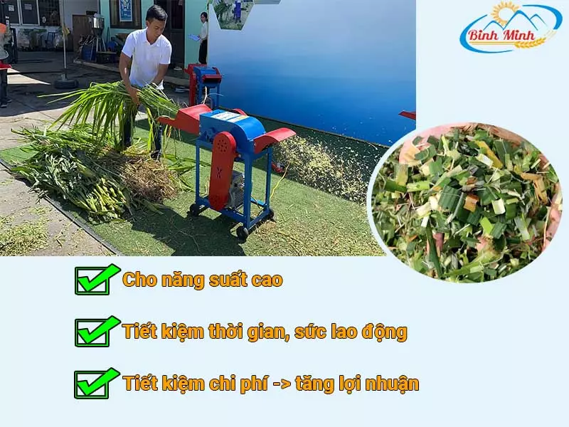 máy băm cỏ cho bò