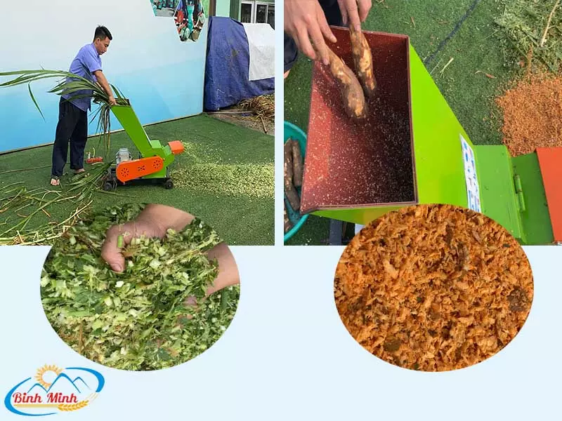 máy băm cỏ cho bò