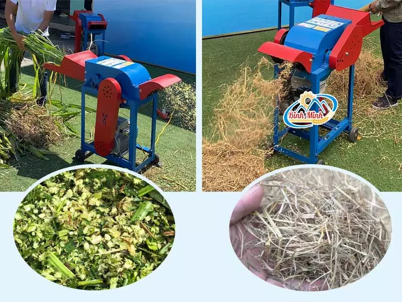 máy băm cỏ cho bò
