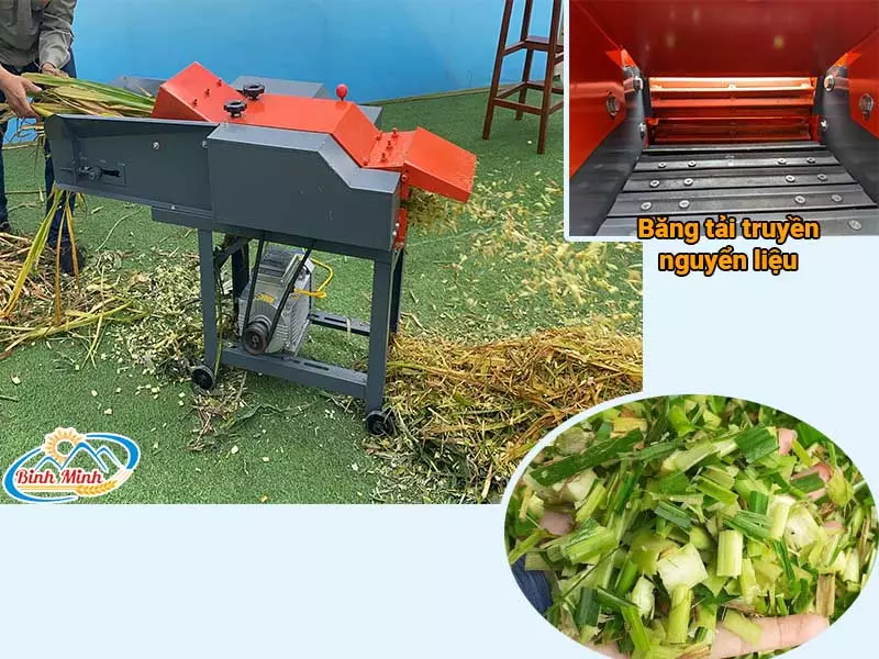 máy băm cỏ cho bò