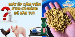 máy ép cám viên S150