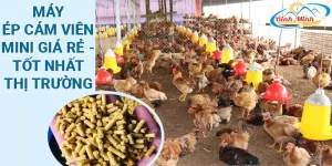 máy ép cám viên mini