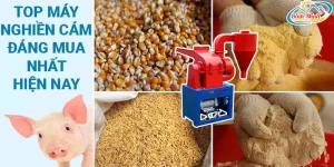 máy nghiền cám cho lợn